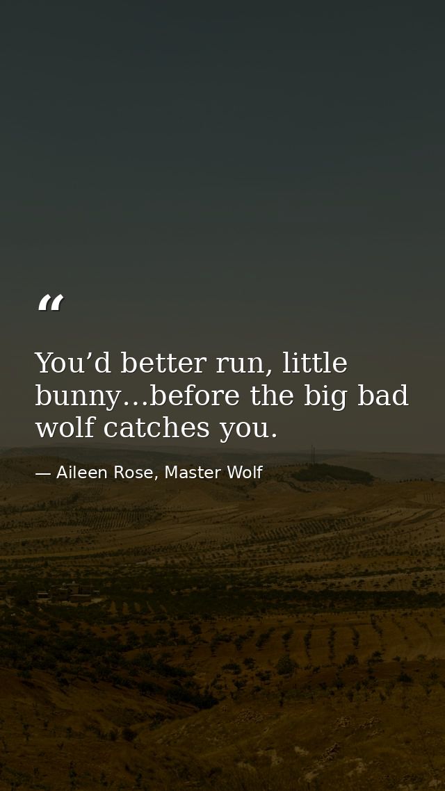 You’d better run, little bunny…before the big bad wolf catches you. — Aileen Rose, Master Wolf
