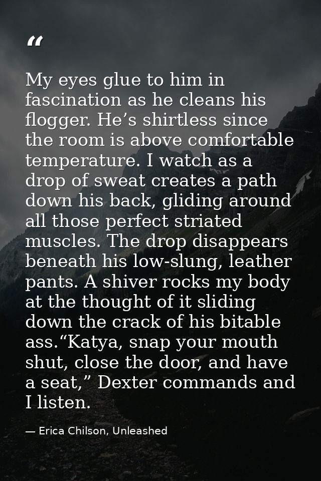 My eyes glue to him in fascination as he cleans his flogger. He’s shirtless since the room is above comfortable temperat — Erica Chilson, Unleashed
