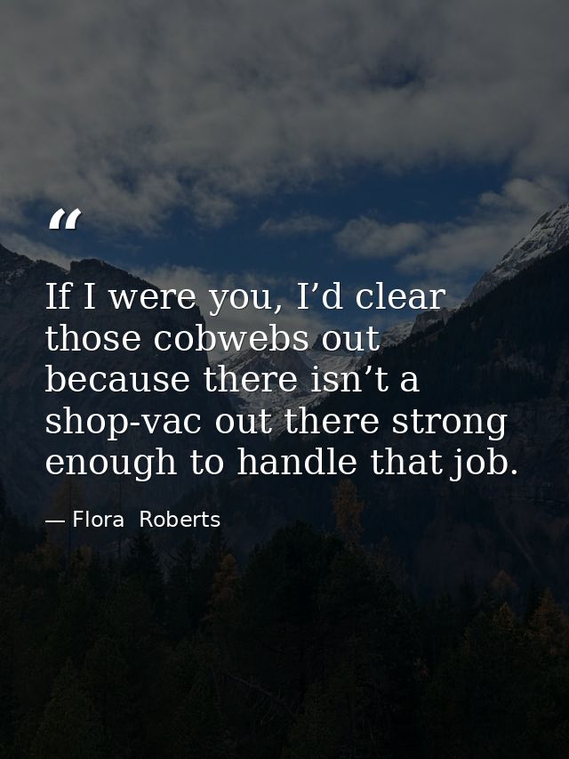 If I were you, I’d clear those cobwebs out because there isn’t a shop-vac out there strong enough to handle that job. — Flora  Roberts