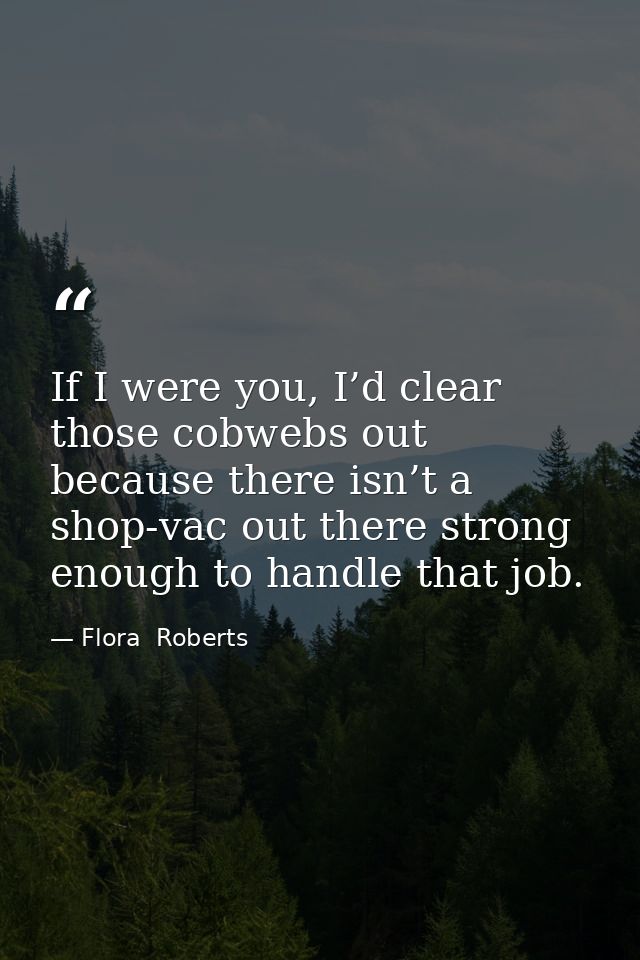 If I were you, I’d clear those cobwebs out because there isn’t a shop-vac out there strong enough to handle that job. — Flora  Roberts