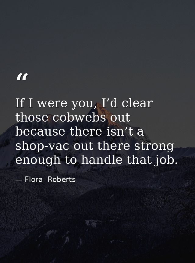 If I were you, I’d clear those cobwebs out because there isn’t a shop-vac out there strong enough to handle that job. — Flora  Roberts