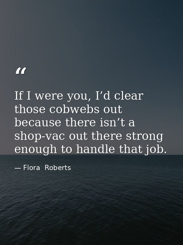 If I were you, I’d clear those cobwebs out because there isn’t a shop-vac out there strong enough to handle that job. — Flora  Roberts