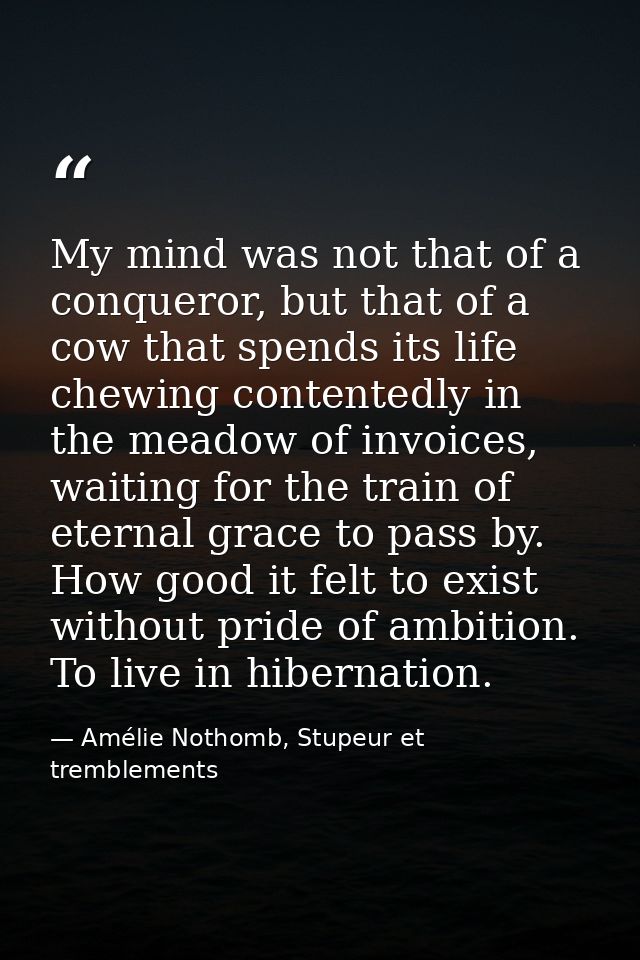 My mind was not that of a conqueror, but that of a cow that spends its life chewing contentedly in the meadow of invoice — Amélie Nothomb, Stupeur et tremblements