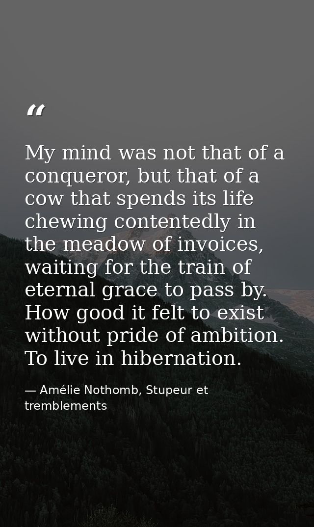 My mind was not that of a conqueror, but that of a cow that spends its life chewing contentedly in the meadow of invoice — Amélie Nothomb, Stupeur et tremblements