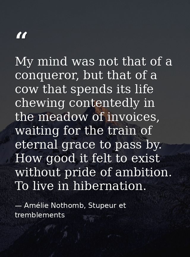 My mind was not that of a conqueror, but that of a cow that spends its life chewing contentedly in the meadow of invoice — Amélie Nothomb, Stupeur et tremblements