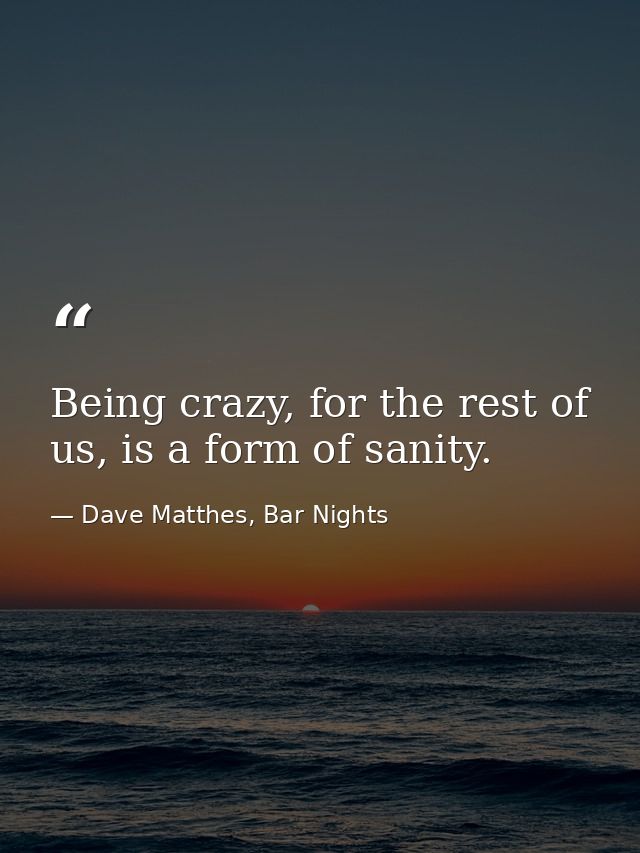 Being crazy, for the rest of us, is a form of sanity. — Dave Matthes, Bar Nights