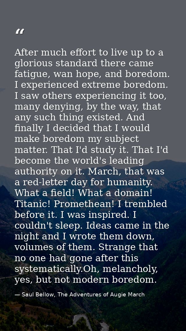 After much effort to live up to a glorious standard there came fatigue, wan hope, and boredom. I experienced extreme bor — Saul Bellow, The Adventures of Augie March