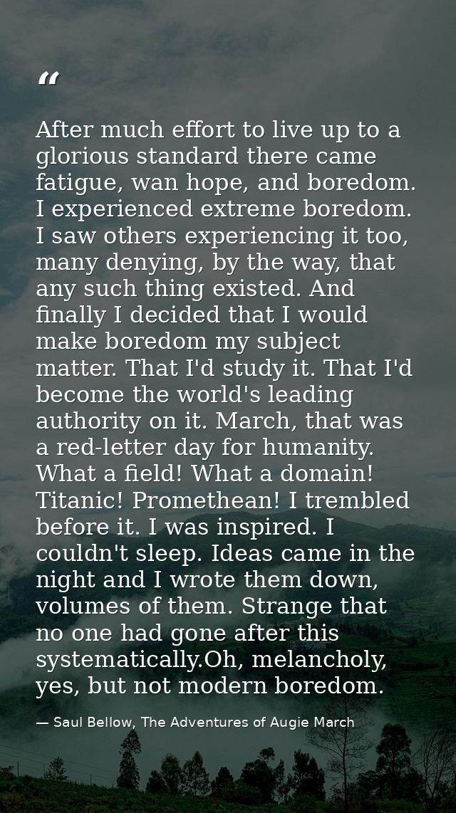 After much effort to live up to a glorious standard there came fatigue, wan hope, and boredom. I experienced extreme bor — Saul Bellow, The Adventures of Augie March