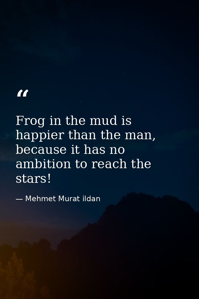 Frog in the mud is happier than the man, because it has no ambition to reach the stars! — Mehmet Murat ildan