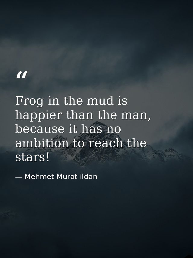 Frog in the mud is happier than the man, because it has no ambition to reach the stars! — Mehmet Murat ildan