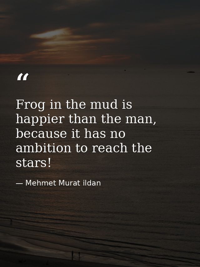 Frog in the mud is happier than the man, because it has no ambition to reach the stars! — Mehmet Murat ildan
