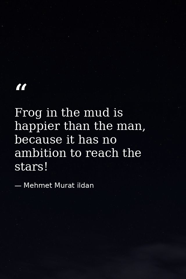 Frog in the mud is happier than the man, because it has no ambition to reach the stars! — Mehmet Murat ildan