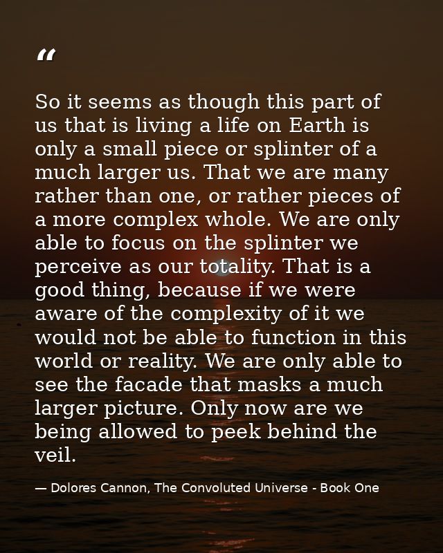 So it seems as though this part of us that is living a life on Earth is only a small piece or splinter of a much larger  — Dolores Cannon, The Convoluted Universe - Book One
