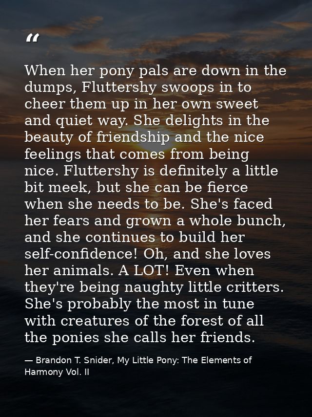 When her pony pals are down in the dumps, Fluttershy swoops in to cheer them up in her own sweet and quiet way. She deli — Brandon T. Snider, My Little Pony: The Elements of Harmony Vol. II