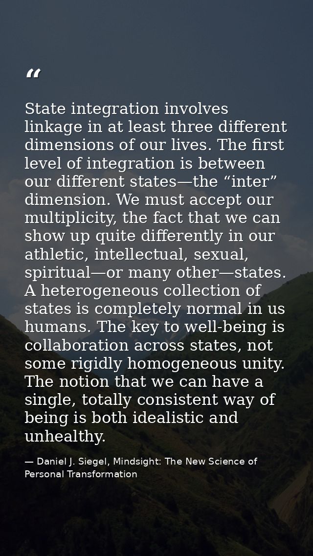 State integration involves linkage in at least three different dimensions of our lives. The first level of integration i — Daniel J. Siegel, Mindsight: The New Science of Personal Transformation