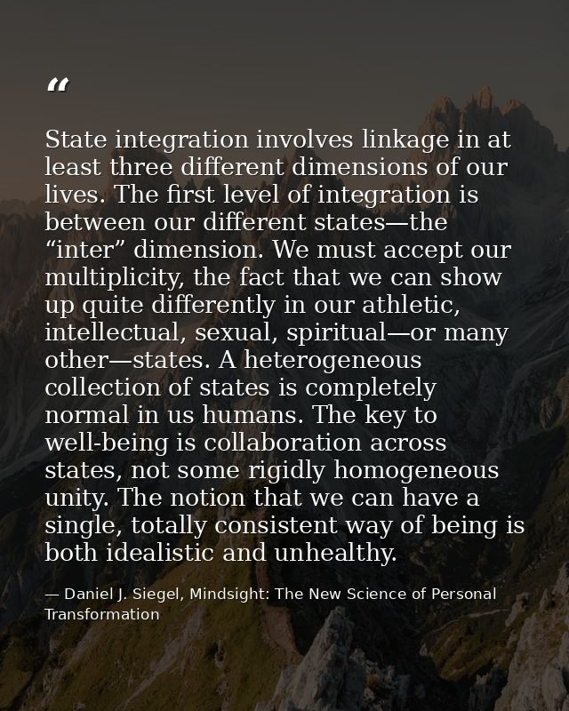 State integration involves linkage in at least three different dimensions of our lives. The first level of integration i — Daniel J. Siegel, Mindsight: The New Science of Personal Transformation