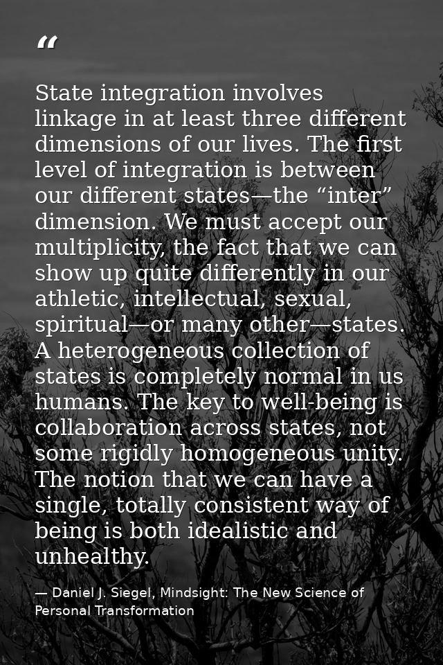 State integration involves linkage in at least three different dimensions of our lives. The first level of integration i — Daniel J. Siegel, Mindsight: The New Science of Personal Transformation