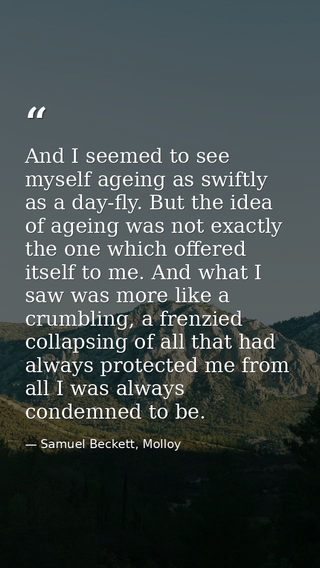 And I seemed to see myself ageing as swiftly as a day-fly. But the idea of ageing was not exactly the one which offered  — Samuel Beckett, Molloy