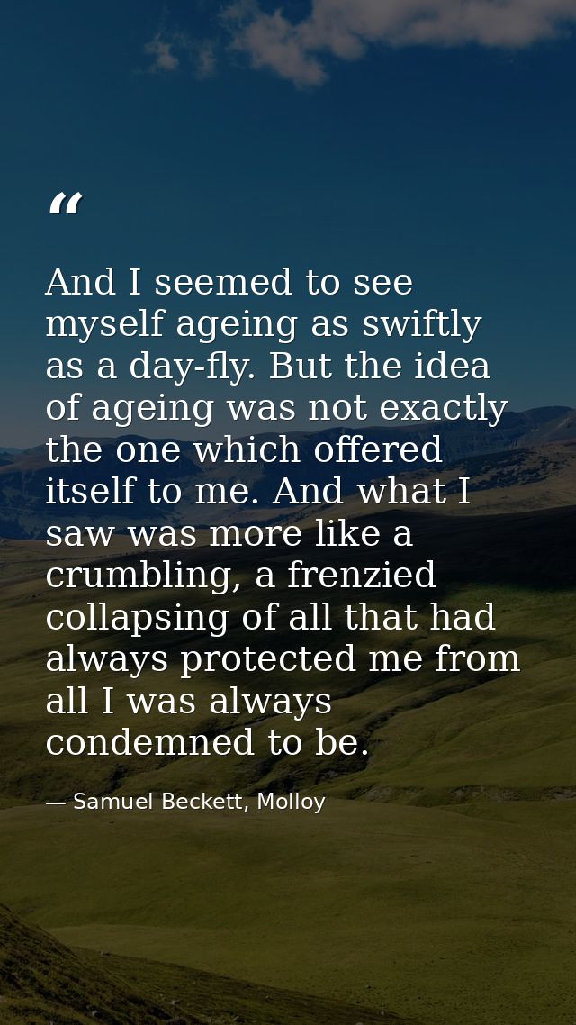 And I seemed to see myself ageing as swiftly as a day-fly. But the idea of ageing was not exactly the one which offered  — Samuel Beckett, Molloy