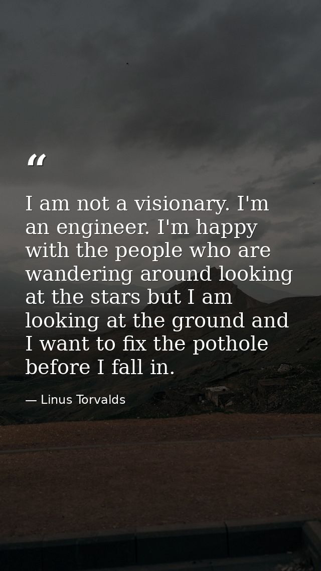 I am not a visionary. I'm an engineer. I'm happy with the people who are wandering around looking at the stars but I am  — Linus Torvalds