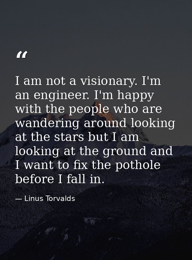 I am not a visionary. I'm an engineer. I'm happy with the people who are wandering around looking at the stars but I am  — Linus Torvalds
