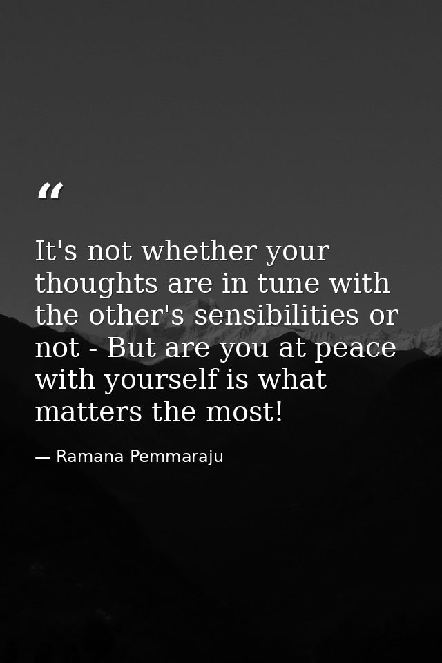 It's not whether your thoughts are in tune with the other's sensibilities or not - But are you at peace with yourself is — Ramana Pemmaraju
