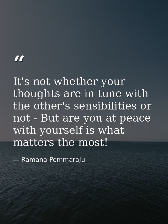 It's not whether your thoughts are in tune with the other's sensibilities or not - But are you at peace with yourself is — Ramana Pemmaraju
