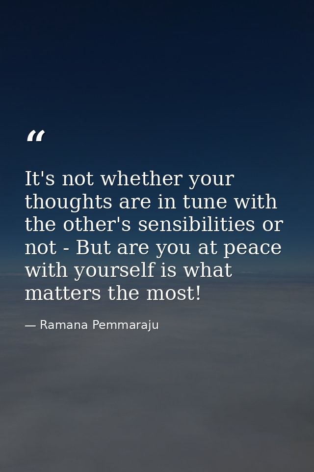 It's not whether your thoughts are in tune with the other's sensibilities or not - But are you at peace with yourself is — Ramana Pemmaraju