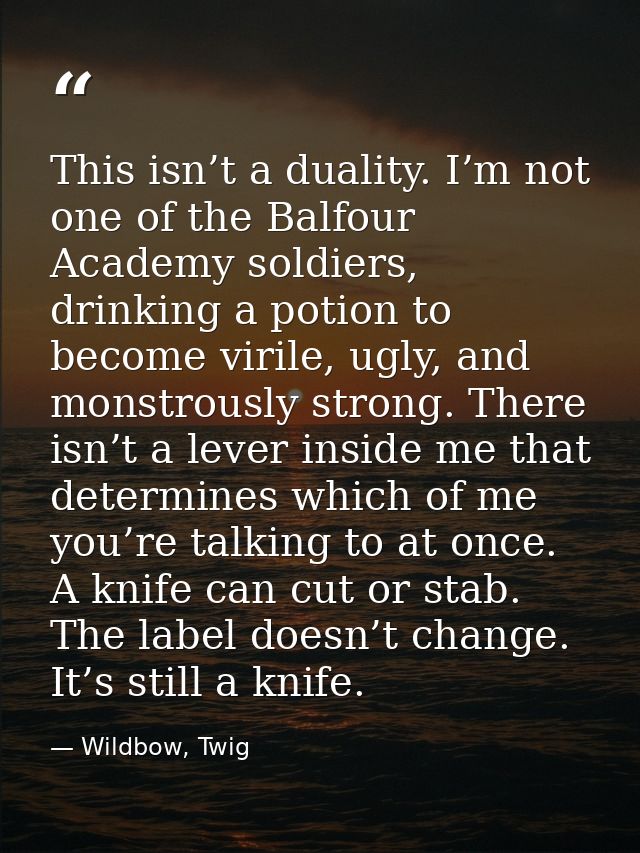 This isn’t a duality. I’m not one of the Balfour Academy soldiers, drinking a potion to become virile, ugly, and monstro — Wildbow, Twig