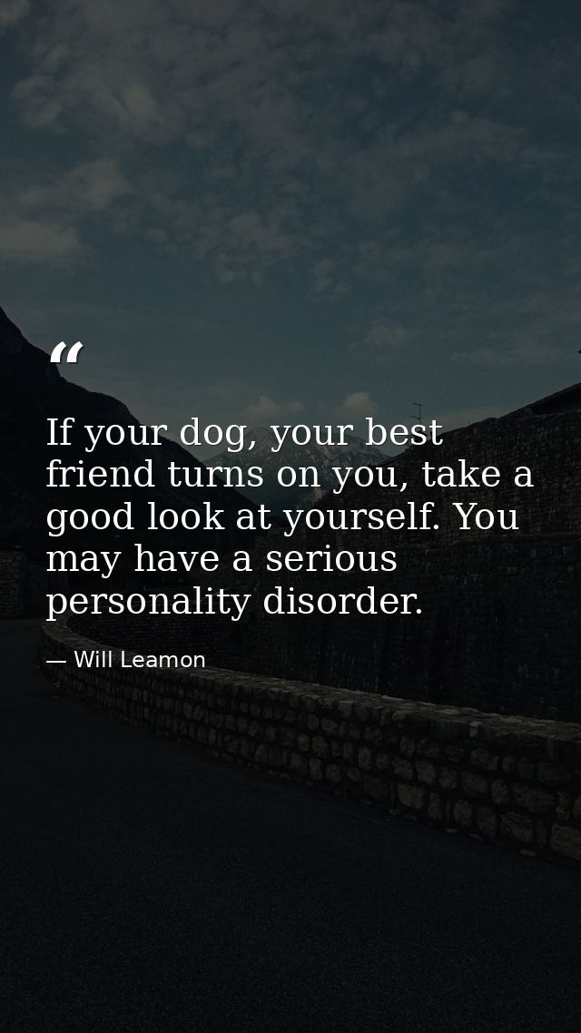 If your dog, your best friend turns on you, take a good look at yourself. You may have a serious personality disorder. — Will Leamon