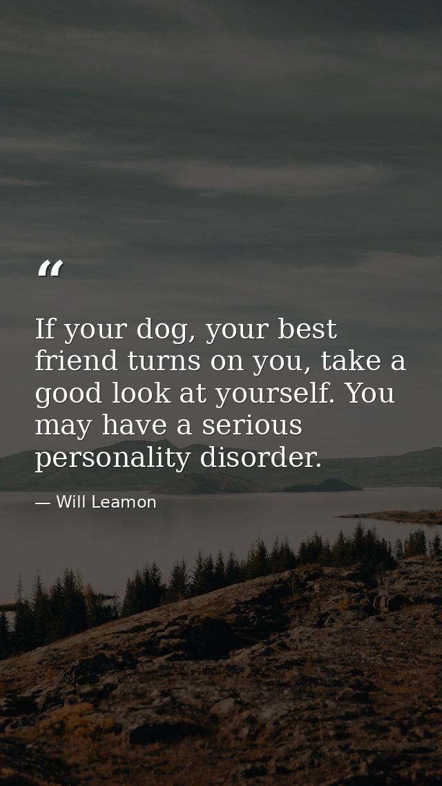 If your dog, your best friend turns on you, take a good look at yourself. You may have a serious personality disorder. — Will Leamon