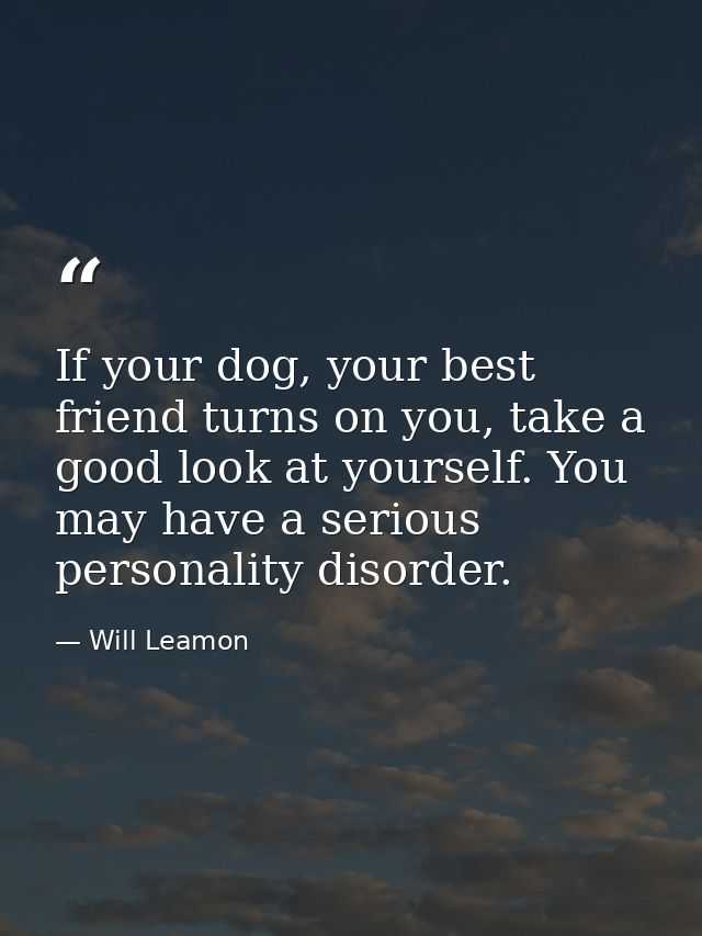 If your dog, your best friend turns on you, take a good look at yourself. You may have a serious personality disorder. — Will Leamon