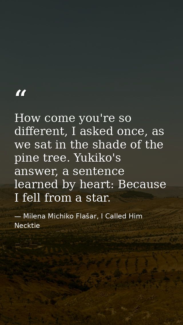 How come you're so different, I asked once, as we sat in the shade of the pine tree. Yukiko's answer, a sentence learned — Milena Michiko Flašar, I Called Him Necktie
