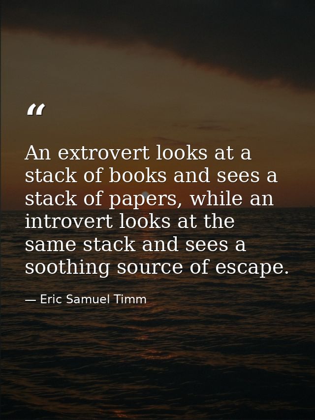 An extrovert looks at a stack of books and sees a stack of papers, while an introvert looks at the same stack and sees a — Eric Samuel Timm