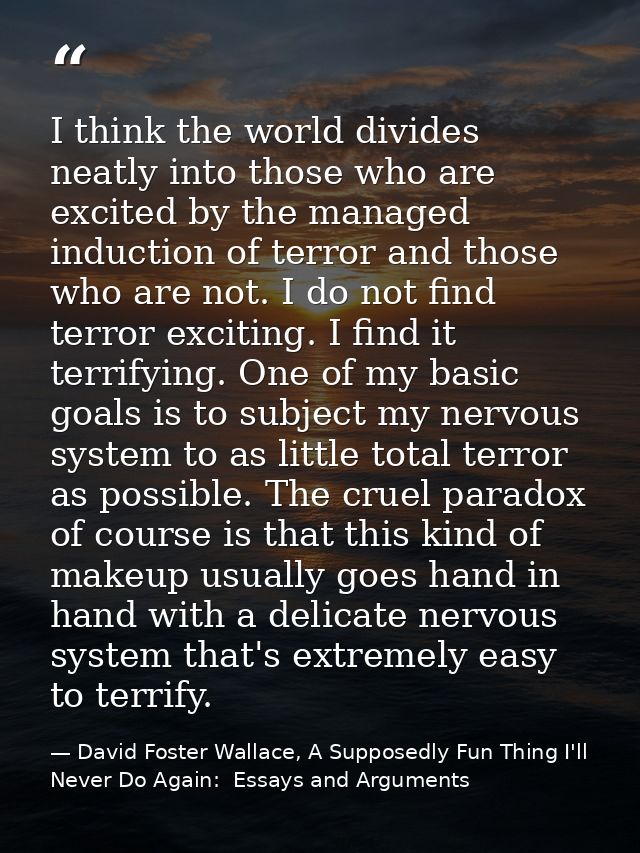 I think the world divides neatly into those who are excited by the managed induction of terror and those who are not. I  — David Foster Wallace, A Supposedly Fun Thing I'll Never Do Again:  Essays and Arguments