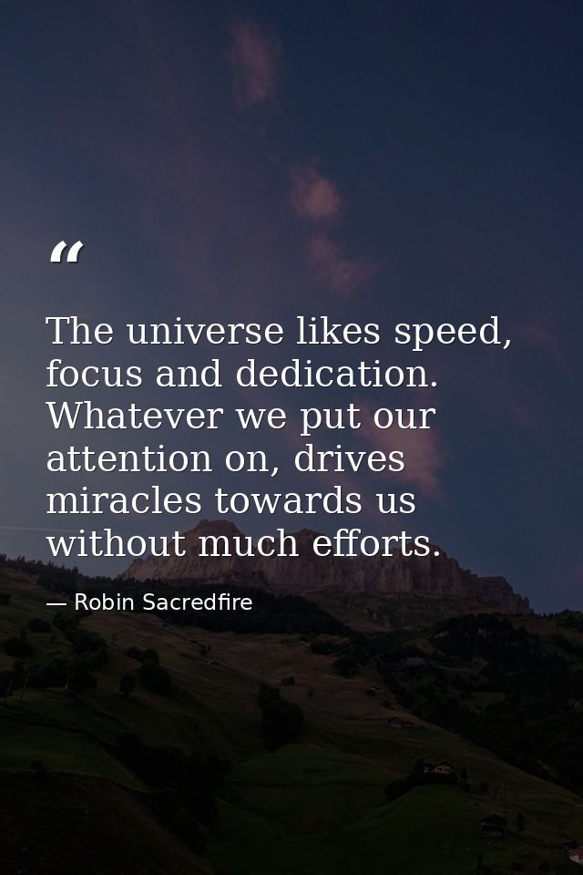 The universe likes speed, focus and dedication. Whatever we put our attention on, drives miracles towards us without muc — Robin Sacredfire
