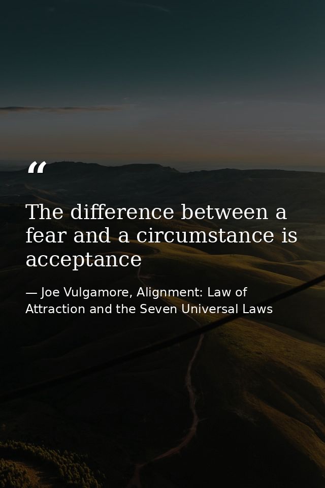 The difference between a fear and a circumstance is acceptance — Joe Vulgamore, Alignment: Law of Attraction and the Seven Universal Laws