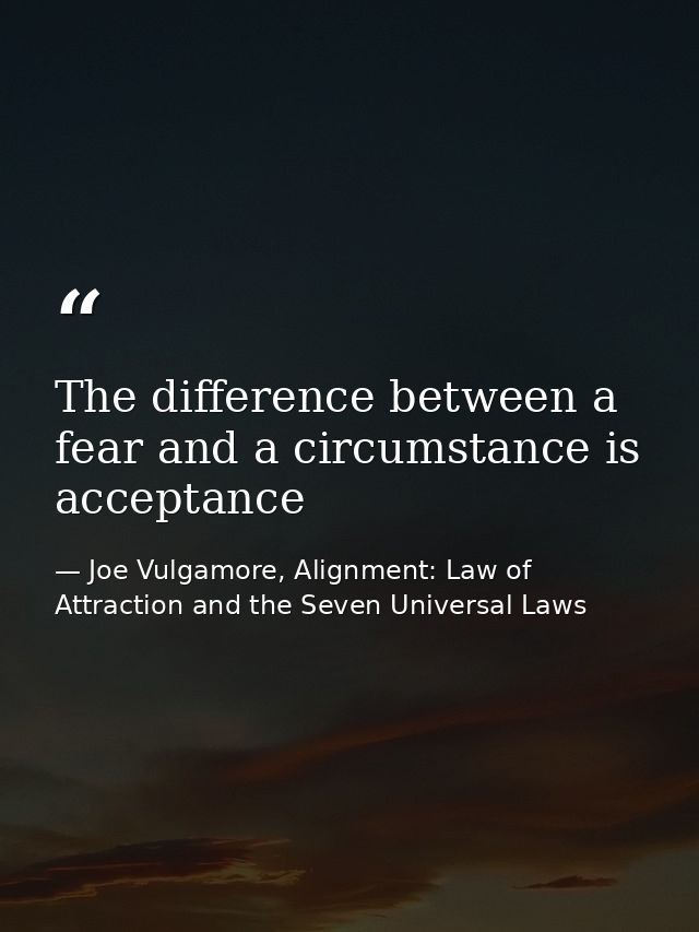 The difference between a fear and a circumstance is acceptance — Joe Vulgamore, Alignment: Law of Attraction and the Seven Universal Laws