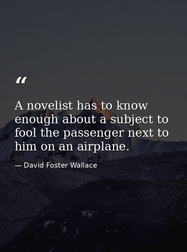 A novelist has to know enough about a subject to fool the passenger next to him on an airplane. — David Foster Wallace