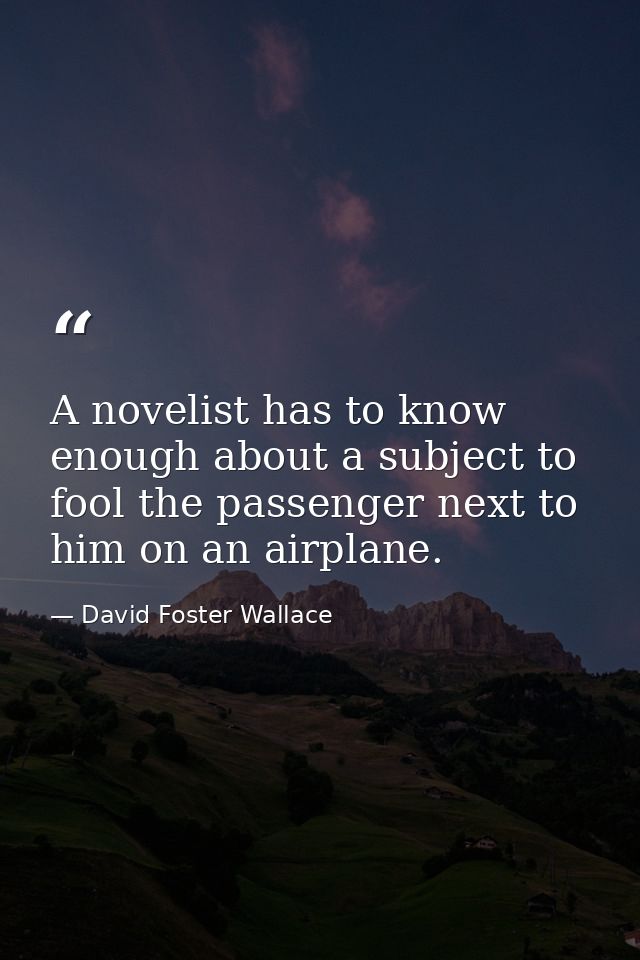 A novelist has to know enough about a subject to fool the passenger next to him on an airplane. — David Foster Wallace