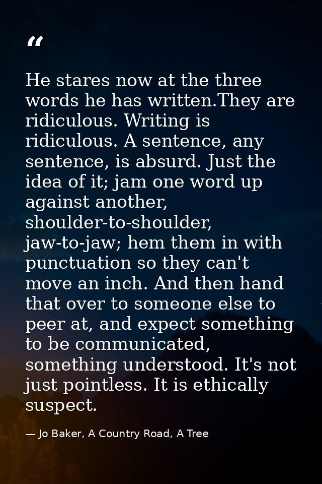 He stares now at the three words he has written.They are ridiculous. Writing is ridiculous. A sentence, any sentence, is — Jo Baker, A Country Road, A Tree