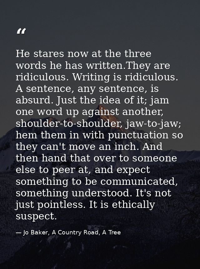 He stares now at the three words he has written.They are ridiculous. Writing is ridiculous. A sentence, any sentence, is — Jo Baker, A Country Road, A Tree