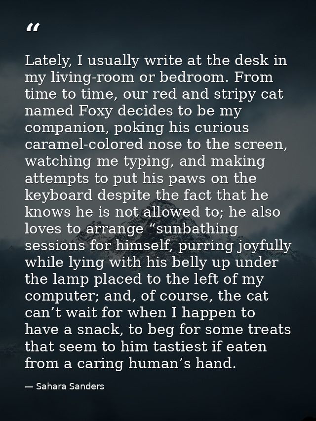 Lately, I usually write at the desk in my living-room or bedroom. From time to time, our red and stripy cat named Foxy d — Sahara Sanders