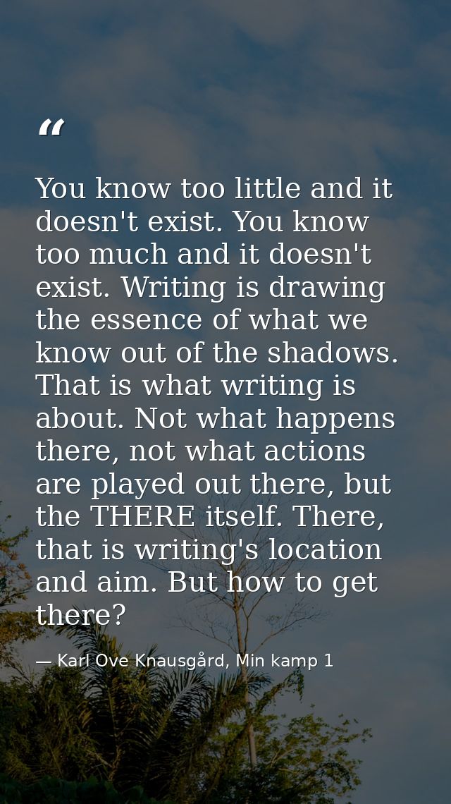 You know too little and it doesn't exist. You know too much and it doesn't exist. Writing is drawing the essence of what — Karl Ove Knausgård, Min kamp 1