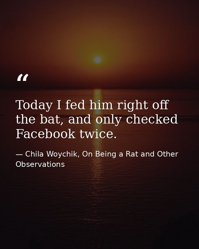 Today I fed him right off the bat, and only checked Facebook twice. — Chila Woychik, On Being a Rat and Other Observations
