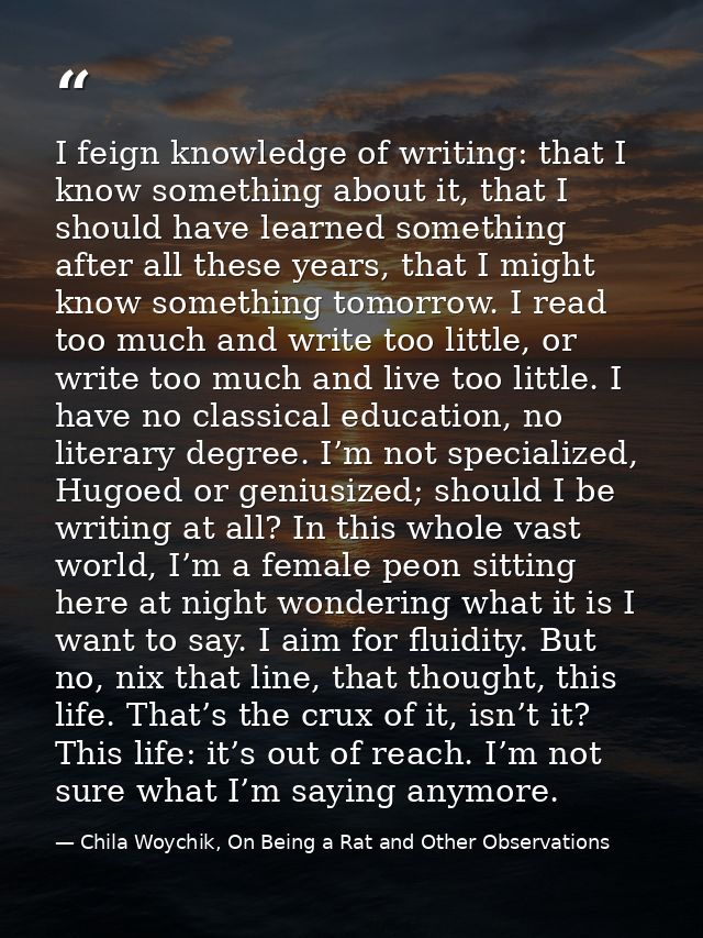 I feign knowledge of writing: that I know something about it, that I should have learned something after all these years — Chila Woychik, On Being a Rat and Other Observations
