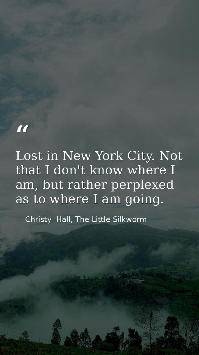 Lost in New York City. Not that I don't know where I am, but rather perplexed as to where I am going. — Christy  Hall, The Little Silkworm