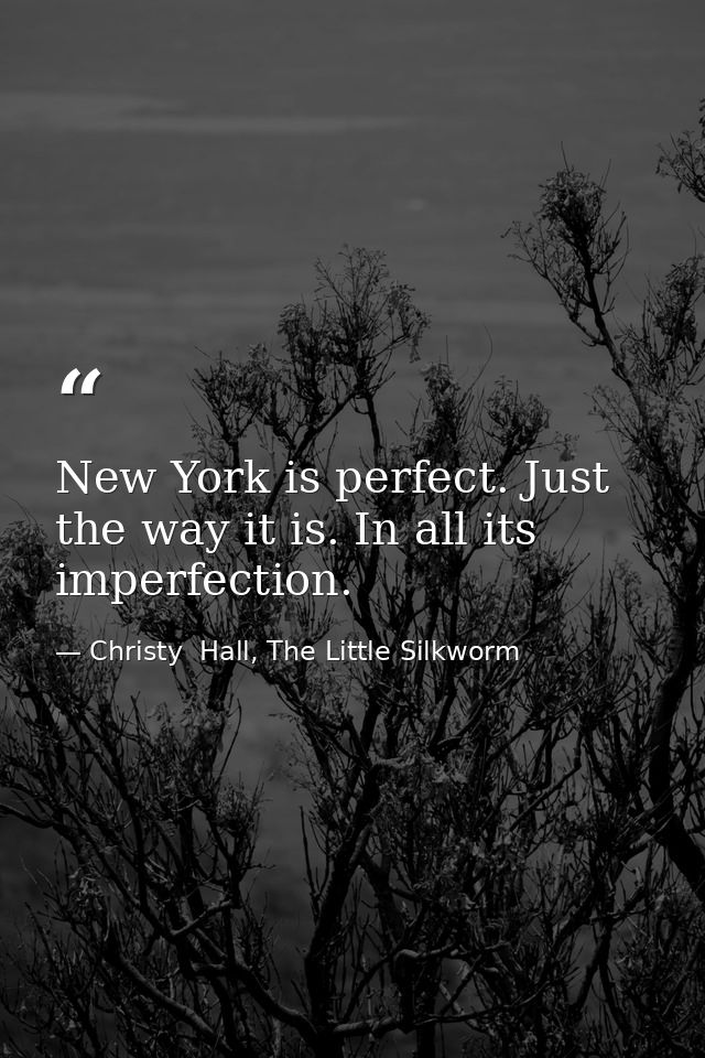 New York is perfect. Just the way it is. In all its imperfection. — Christy  Hall, The Little Silkworm