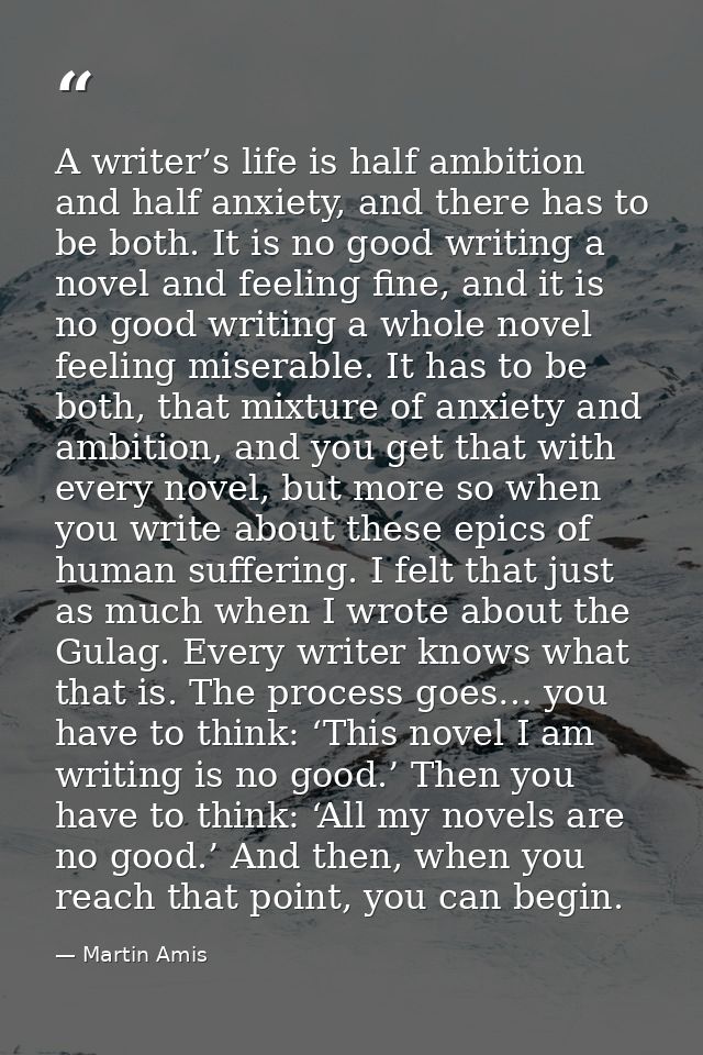 A writer’s life is half ambition and half anxiety, and there has to be both. It is no good writing a novel and feeling f — Martin Amis