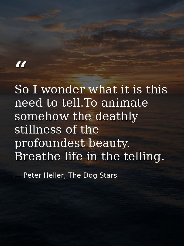 So I wonder what it is this need to tell.To animate somehow the deathly stillness of the profoundest beauty. Breathe lif — Peter Heller, The Dog Stars